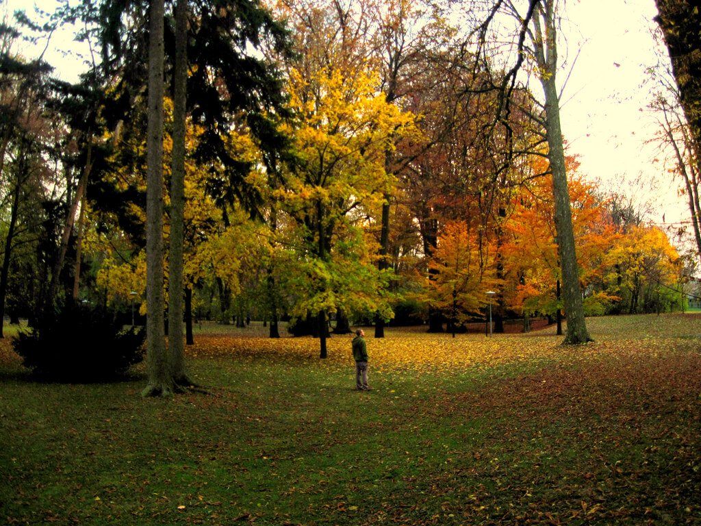 6319917006_0de7a154c9_b